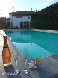 Mas des Vignes Piscine chauffée - Le Champ-Saint-Père - 7