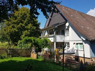 Schatz-Insel - Loßburg - 8