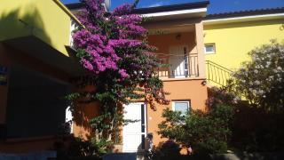 Apartments Mirjana - Petrcane - 8