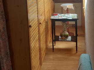 Apartmán v rodinném domě - Hradec Králové - 6