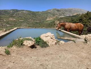 הבית של יעקב - Jacob's house - 1