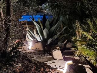 Une Oasis au Pays de Cézanne - Aix-en-Provence - 4