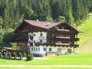 Pension Schneerose - Wildschönau - 0