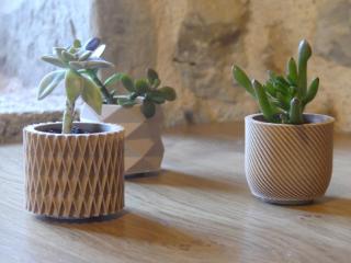 Gîte Fleurs d'eau, Le Hameau du Quercy, charme, calme, piscine naturelle - Frontenac - 2