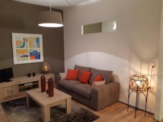 COSY ZEN HYPER CENTRE APARTMENT*** - 4