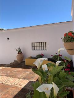 Encantador Apartamento-Céntrico-con Amplio Jardín - 6