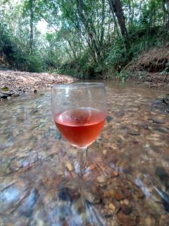 Casa confortável, pertinho da cidade e conectada a natureza - 3