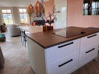Villa with enclosed garden near the Wadden Sea - Hippolytushoef - 2