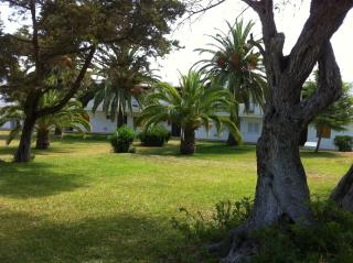 IBIZA - Bungalows Siesta a 50mt dal mare - 8