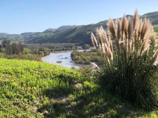 River View Cottage - Kahuranaki - 9