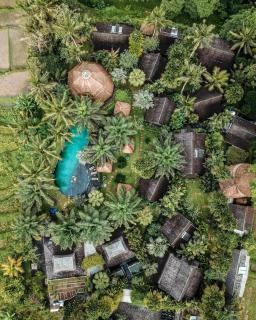 Blue Karma Dijiwa Ubud - Ubud - 8