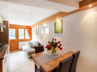 Apartment in the Silvretta-Montafon ski area - Sankt Gallenkirch - 3