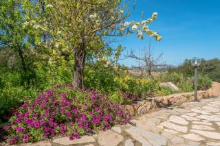 Appartamento 2 in Villa in campagna - Olbia - 6