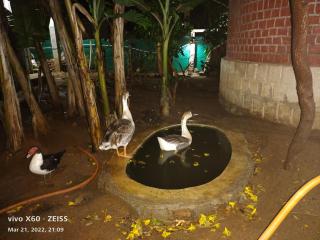 Thiru Nakshatra Family Guest House - Tiruvannāmalai - 7