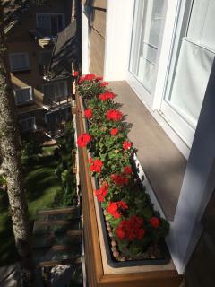 Excelente apartamento em Gramado/RS no Condomínio Casa de Pedra - Gramado - 5