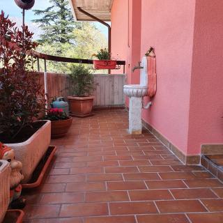 GUFO VERDE - Sulmona - 3