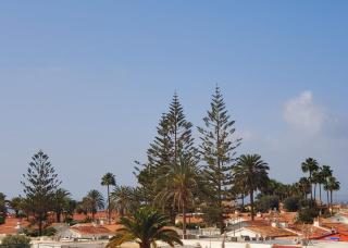 Vivienda Vacacional - Barbados Apartment #03 - Maspalomas - 3