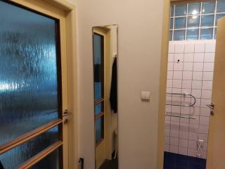 Cozy studio in the City centre near train station - Vinohrady - 6