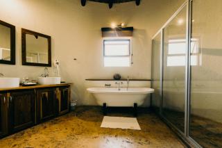Mopane Bush Lodge - Linton - 4