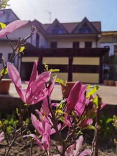 Hotel Edelweiss - Laino Borgo - 3