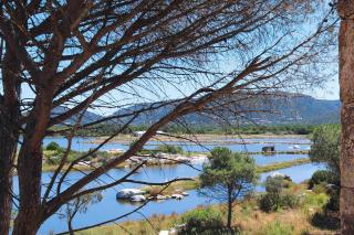 Residence Salina Bay, Porto Vecchio, Apartment garden side - Porto-Vecchio - 6