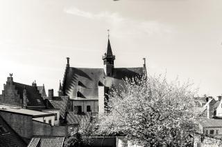 LaDamme - Familievakantiewoning voor 12 in Damme, nabij Brugge - 5