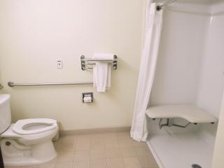 Microtel Inn and Suites by Wyndham Toluca - Toluca - 8