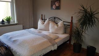 Ferienwohnung Malu Sol im Harz - stilvoll, gemütlich, tierfreundlich - mit Garten - Allrode - 8