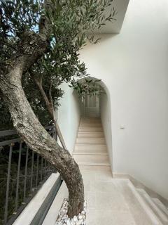 Villa ARINA - Tučepi - 5