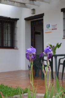 Casa Rural La Serrana de Aracena - Aracena - 9