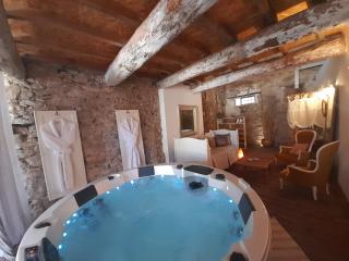 La maisonnette avec SPA et piscine - Sainte-Valière - 8