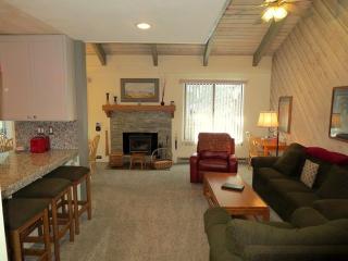 2 Bedrooms Premium Condos - 3