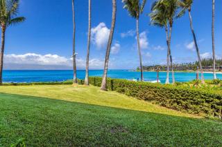 Napili Shores A106 Studio Condo condo - Kahana - 7