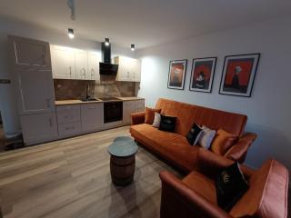 Apartamenty Holender House Choczewo 6 plaż w zasięgu - Choczewo - 9
