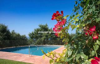 Luxury Villa Among Vineyards - Arezzo - 2
