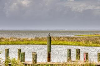 Bayou Heron 1B - Dauphin Island - 2