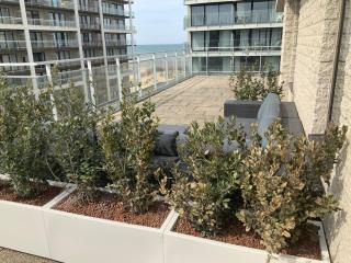 Sea View Penthouse - 1