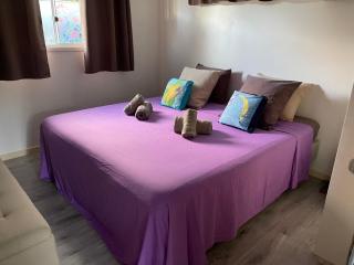 bungalow chez sofpat - Uturoa - 9