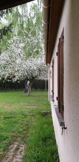 Maison entre relooking et modernité dans un cadre verdoyant pour amoureux de grands espaces - Nogent-sur-Vernisson - 0