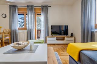 Apartmani Colić - Zlatibor - 6