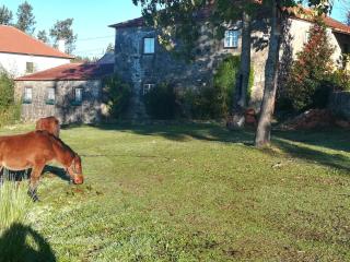 QUINTA DO CAMBEIRO - Viana do Castelo - 2