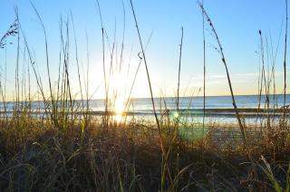 Fabulous Ocean Front Penthouse Condo - Myrtle Beach - 9