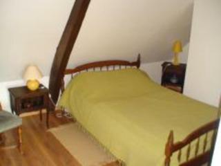 Gîte charmant avec jardin, cheminée, Wi-Fi, idéal pour randonnées et découvertes locales - FR-1-376-70 - Torcy - 7