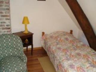 Gîte charmant avec jardin, cheminée, Wi-Fi, idéal pour randonnées et découvertes locales - FR-1-376-70 - Torcy - 5
