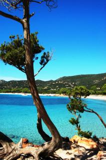 Three-room apartment for 6 people with air conditioning near Porto Vecchio - Zonza - 1