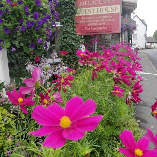 Melbourne Guest House - Bowness-on-Windermere - 3