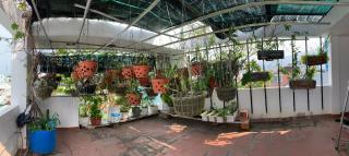 XAM HOUSE HOSTEL - Quy Nhon - 7