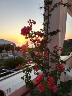 B&B Villa Cristina - Anacapri - 7