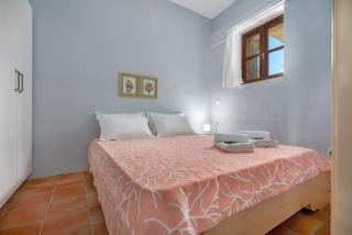 Myrtilo Waterline 2 (Orange) - 1