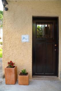 Myrtilo Waterline 2 (Orange) - 8